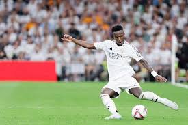 全方位的球 全方位的球